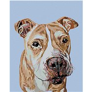 Painting by Numbers - Brown Stafford, 40x50 cm, stretched canvas on frame - Painting by Numbers