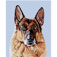 Painting by Numbers - German Shepherd Dog, 40x50 cm, stretched canvas on frame - Painting by Numbers