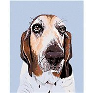 Malen nach Zahlen - Basset Hund, 80x100 cm, Leinwand auf Keilrahmen - Malen nach Zahlen