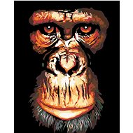 Painting by Numbers - Chimpanzee, 40x50 cm, stretched canvas on frame - Painting by Numbers