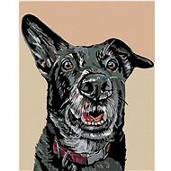 Painting by Numbers - Black Dog and Trapped Ear, 40x50 cm, stretched canvas on frame - Painting by Numbers