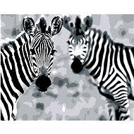 Painting by Numbers - Striped Zebras, 50x40 cm, stretched canvas on frame - Painting by Numbers