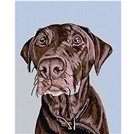 Painting by numbers - Brown dog with brown collar, 40x50 cm, stretched canvas on frame - Painting by Numbers