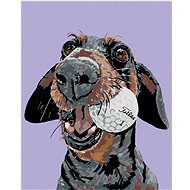 Painting by numbers - Dog with golf ball, 40x50 cm, stretched canvas on frame - Painting by Numbers