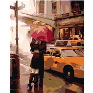 Painting by Numbers - Farewell at the Taxi, 40x50 cm, stretched canvas on frame - Painting by Numbers