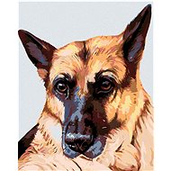 Painting by Numbers - Wolfman, 40x50 cm, stretched canvas on frame - Painting by Numbers