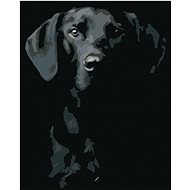 Painting by Numbers - Black and White Dog, 40x50 cm, stretched canvas on frame - Painting by Numbers