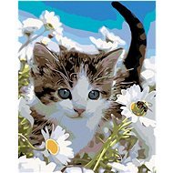 Malen nach Zahlen - Katze in Gänseblümchen, 40x50 cm, Leinwand auf Keilrahmen - Malen nach Zahlen