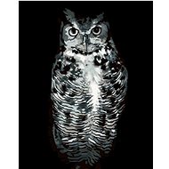 Painting by Numbers - Black and White Owl, 40x50 cm, stretched canvas on frame - Painting by Numbers