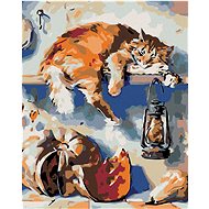 Painting by Numbers - Sleeping Cat on a Shelf in the Pantry, 40x50 cm, stretched canvas on frame - Painting by Numbers