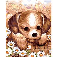 Painting by Numbers - Puppy, 40x50 cm, stretched canvas on frame - Painting by Numbers