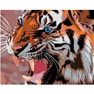 Painting by Numbers - Blue Tiger Eyes, 50x40 cm, stretched canvas on frame - Painting by Numbers