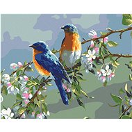 Painting by Numbers - Birds, 50x40 cm, stretched canvas on frame - Painting by Numbers