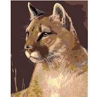 Painting by numbers - Puma, 40x50 cm, canvas on frame - Painting by Numbers