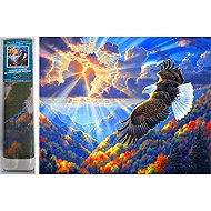 NORIMPEX Majestic bird of prey 30 × 40 cm - Diamond Painting