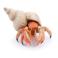 PAPO Hermit crab - Figure