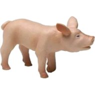 PAPO Sele - Figure