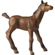 PAPO Thoroughbred foal - Figure