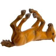 PAPO Arabian horse foal - Figure