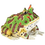 PAPO Horned Frog - Figure