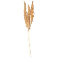 Decor by Glassor Ornamental grass pampas small - Party Accessories