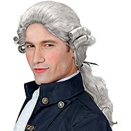Widmann Men's historical grey wig - Wig