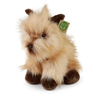 Rappa Plush dog cairn terrier 30 cm - Soft Toy