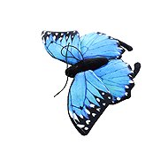 Butterfly Lamp, 24 cm, Eco-friendly - Soft Toy