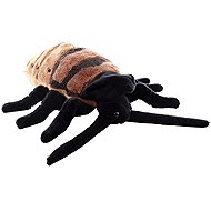 Lamps Hissing Cockroach 20 cm - Soft Toy