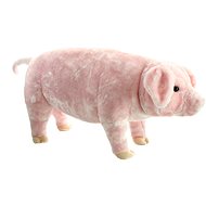 Pig - Soft Toy