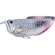 EUGY Silver Arowana 3D Cardboard Puzzle - 3D Puzzle