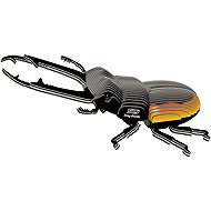 EUGY Brouk roháč 3D kartonová skládačka   - 3D Puzzle