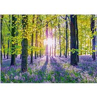 SCHMIDT Gentle bluebells in the forest 1000 pieces - Jigsaw Puzzle