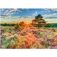 SCHMIDT Sunset on the moor 1000 pieces - Jigsaw Puzzle