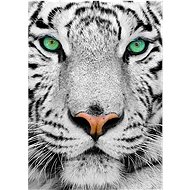 Enjoy White Siberian Tiger 1000 pieces - Jigsaw Puzzle