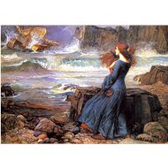 Enjoy Miranda in the Storm 1000 pieces - Jigsaw Puzzle
