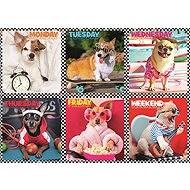 TREFL Puzzle Merry Pups 200 pieces - Jigsaw Puzzle