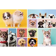 TREFL Puzzle Psí přátelství 160 dílků - Jigsaw Puzzle