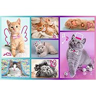 TREFL Puzzle Roztomilá koťátka 60 dílků - Jigsaw Puzzle