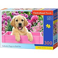 Castorland Labrador in a Pink Box 300 pieces - Jigsaw Puzzle