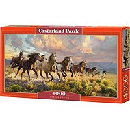 Castorland Duning Prairie 4000 Pieces - Jigsaw Puzzle