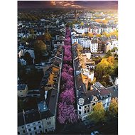 Ravensburger Blooming Bonn 1500 pieces - Jigsaw Puzzle