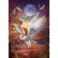 ART PUZZLE Puzzle Night Owls 1000 pieces - Jigsaw Puzzle