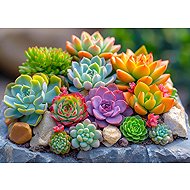 ENJOY Puzzle Succulents 1000 pieces - Jigsaw Puzzle