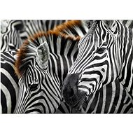ENJOY Puzzle Zebras 1000 pieces - Jigsaw Puzzle