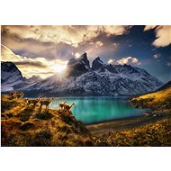 HEYE Puzzle Lamy guanaco 1000 pieces - Jigsaw Puzzle