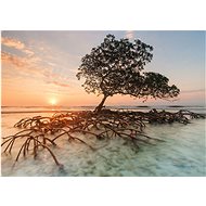 HEYE Mangrove Puzzle 1000 pieces - Jigsaw Puzzle