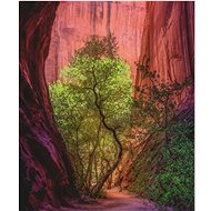 HEYE Puzzle Power of Nature: Singing Canyon 1000 pieces - Jigsaw Puzzle