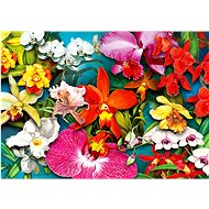 ENJOY Jungle Orchid Puzzle 1000 pieces - Jigsaw Puzzle