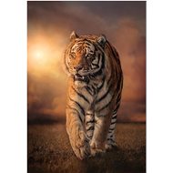 CLEMENTONI Tiger 1000 pieces - Jigsaw Puzzle